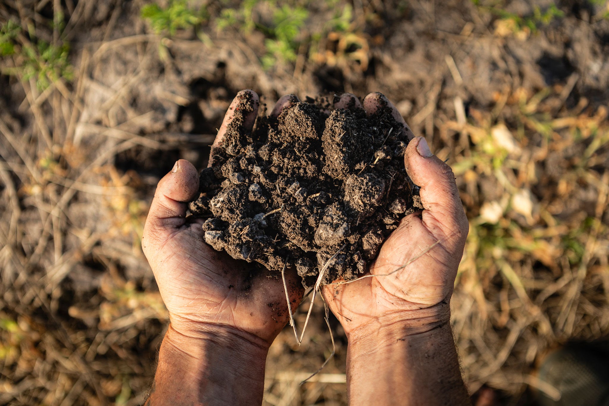 Soil Health - Sustainable Agriculture Solutions by Jay Agritech